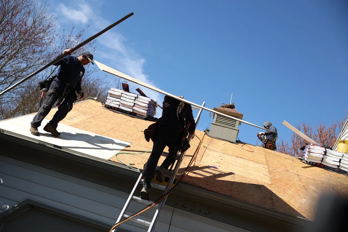 Carrying plywood up a ladder while replacing a roof in Maryland.